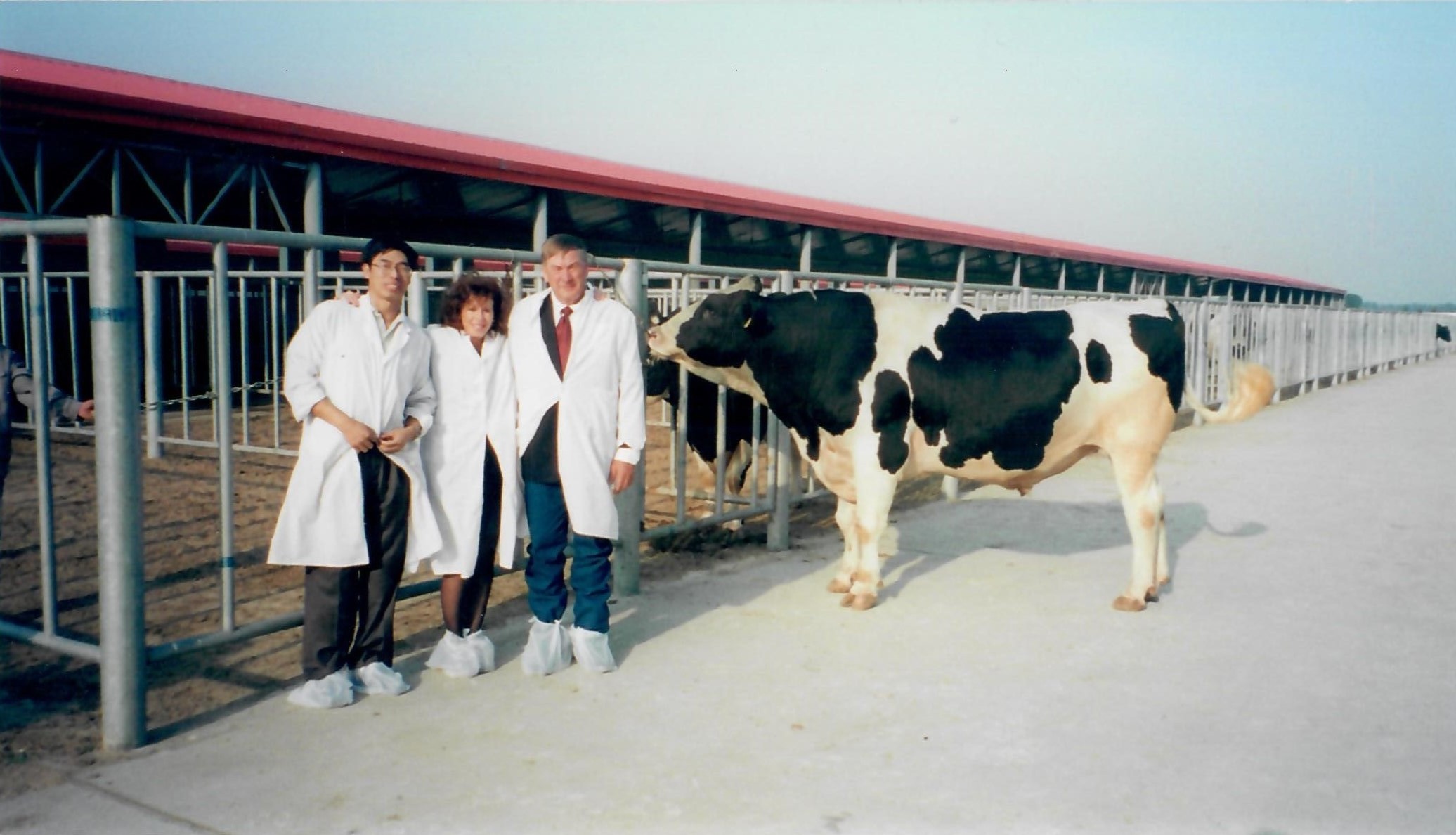 Alta Dragon at Beijing Bull Stud 2002